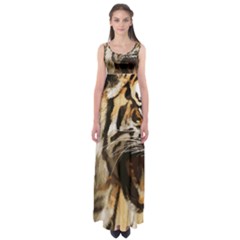 Royal Tiger National Park Empire Waist Maxi Dress by Amaryn4rt