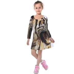 Royal Tiger National Park Kids  Long Sleeve Velvet Dress by Amaryn4rt