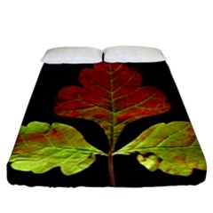 Autumn Beauty Fitted Sheet (california King Size) by Nexatart