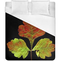 Autumn Beauty Duvet Cover (california King Size) by Nexatart