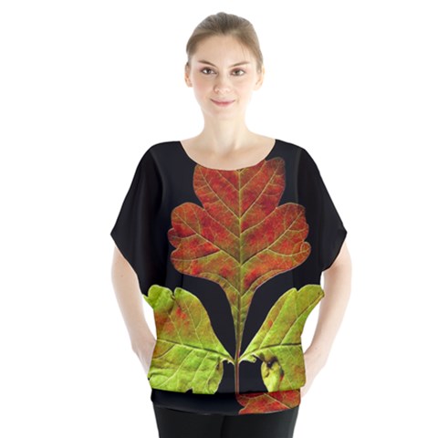 Autumn Beauty Blouse by Nexatart