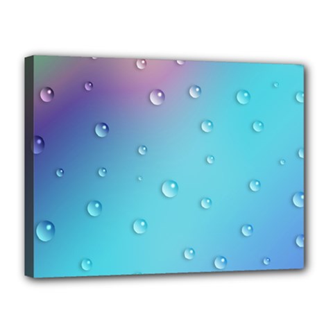 Water Droplets Canvas 16  X 12 