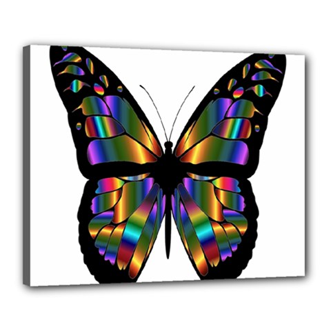 Abstract Animal Art Butterfly Canvas 20  X 16  by Nexatart