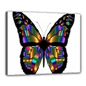 Abstract Animal Art Butterfly Canvas 20  x 16  View1