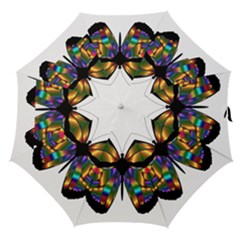 Abstract Animal Art Butterfly Straight Umbrellas by Nexatart