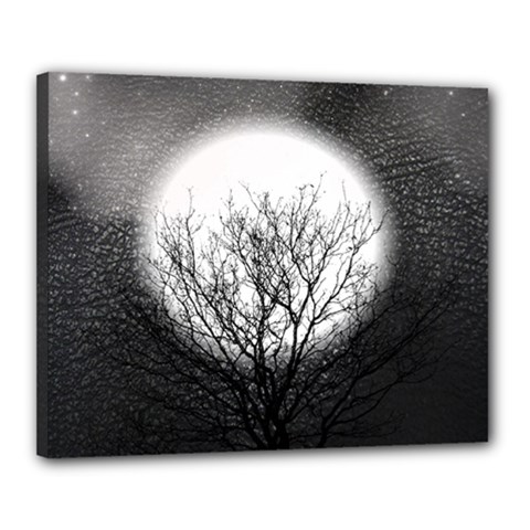 Starry Sky Canvas 20  X 16  by digitaldivadesigns