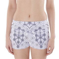 Tree Of Life Flower Of Life Stage Boyleg Bikini Wrap Bottoms by Nexatart