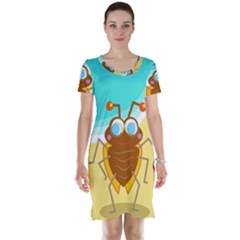 Animal Nature Cartoon Bug Insect Short Sleeve Nightdress by Nexatart