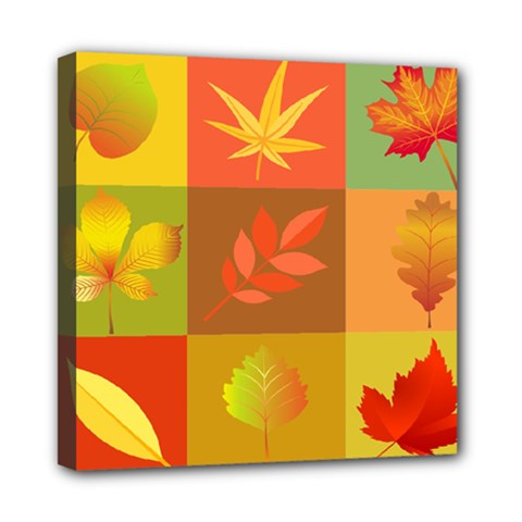 Autumn Leaves Colorful Fall Foliage Mini Canvas 8  X 8 