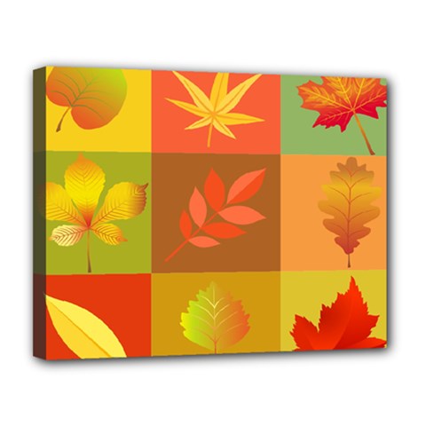 Autumn Leaves Colorful Fall Foliage Canvas 14  X 11 