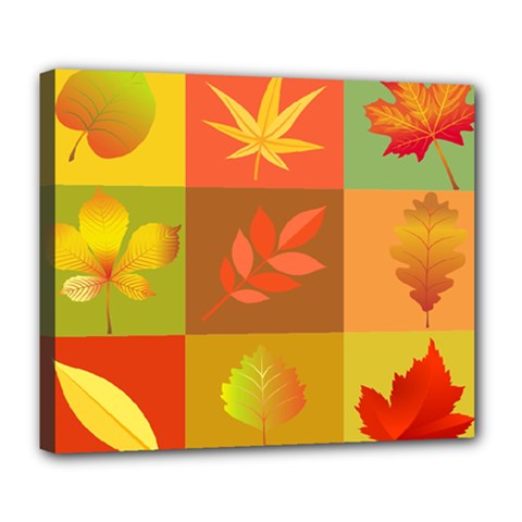 Autumn Leaves Colorful Fall Foliage Deluxe Canvas 24  X 20   by Nexatart