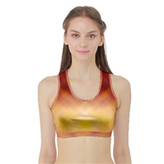 Background Textures Pattern Design Sports Bra With Border