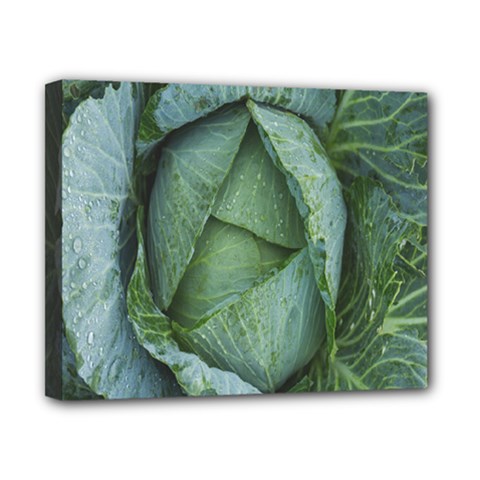 Bright Cabbage Color Dew Flora Canvas 10  X 8 