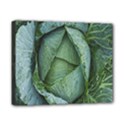 Bright Cabbage Color Dew Flora Canvas 10  x 8  View1