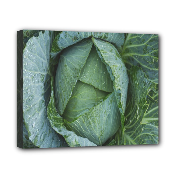 Bright Cabbage Color Dew Flora Canvas 10  x 8 