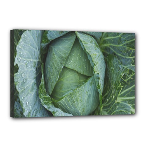 Bright Cabbage Color Dew Flora Canvas 18  X 12  by Nexatart