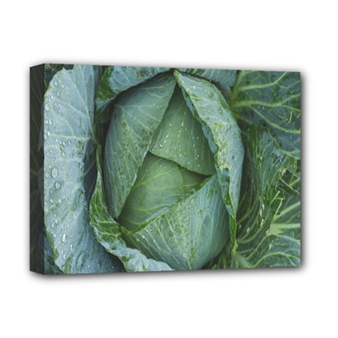 Bright Cabbage Color Dew Flora Deluxe Canvas 16  X 12   by Nexatart