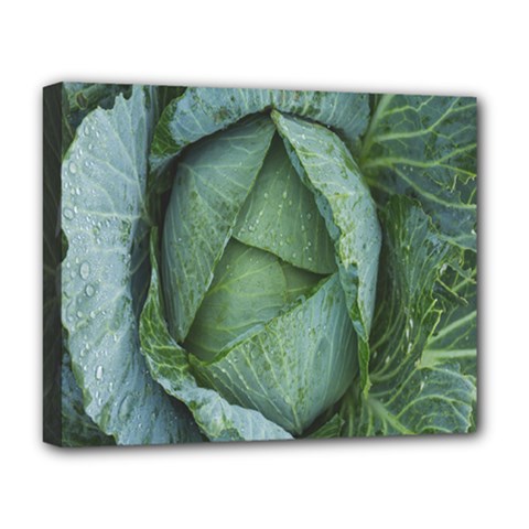 Bright Cabbage Color Dew Flora Deluxe Canvas 20  X 16   by Nexatart