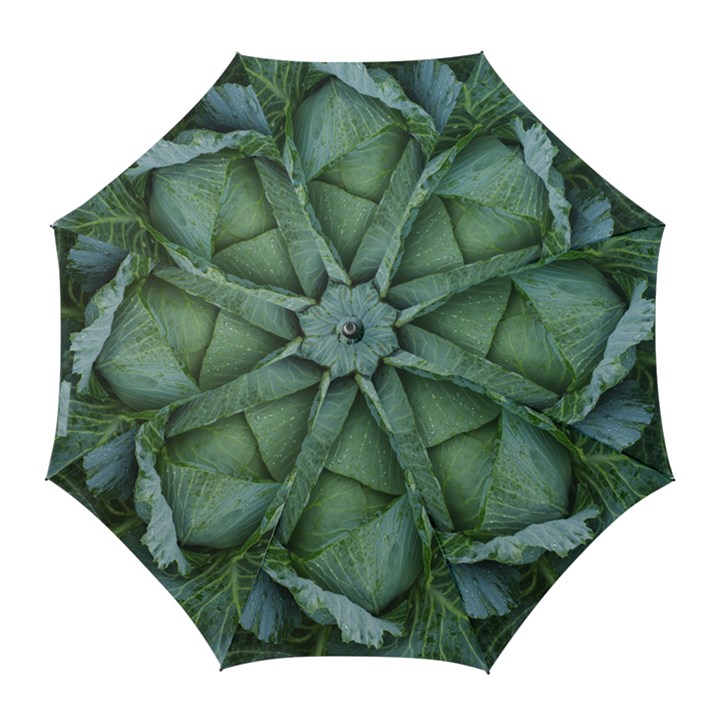 Bright Cabbage Color Dew Flora Golf Umbrellas