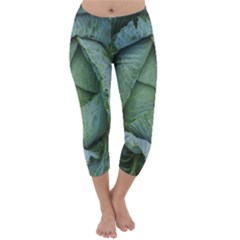 Bright Cabbage Color Dew Flora Capri Winter Leggings  by Nexatart