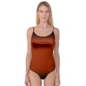 Brown Gradient Frame Camisole Leotard  View1