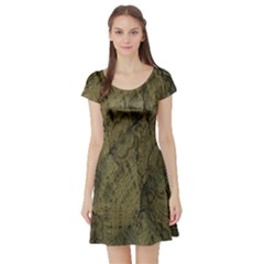 Complexity Short Sleeve Skater Dress by Nexatart