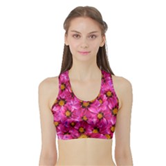 Dahlia Flowers Pink Garden Plant Sports Bra With Border by Nexatart