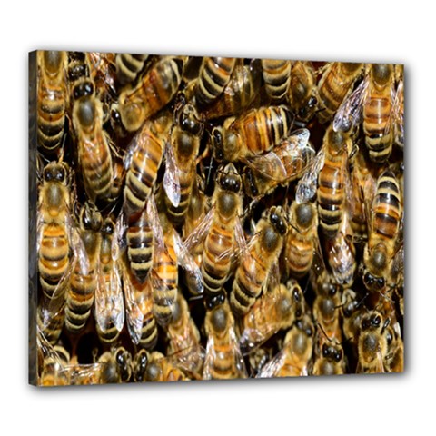 Honey Bee Water Buckfast Canvas 24  X 20  by Nexatart