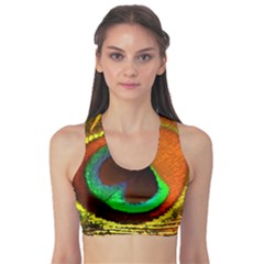 Peacock Feather Eye Sports Bra by Nexatart