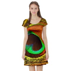 Peacock Feather Eye Short Sleeve Skater Dress by Nexatart