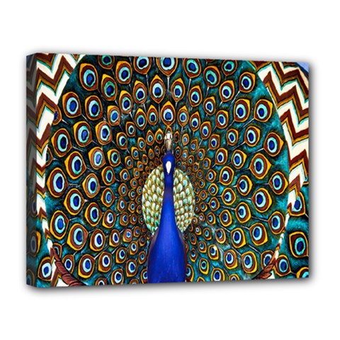 The Peacock Pattern Canvas 14  X 11  by Nexatart