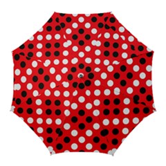 Red & Black Polka Dot Pattern Golf Umbrellas by Nexatart