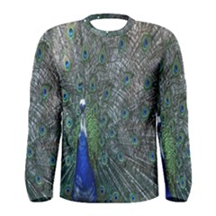 Peacock Four Spot Feather Bird Men s Long Sleeve Tee by Nexatart