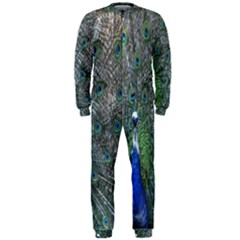 Peacock Four Spot Feather Bird Onepiece Jumpsuit (men)  by Nexatart