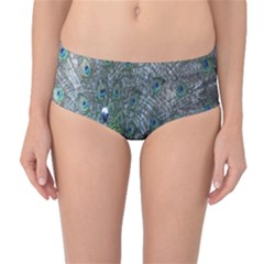 Peacock Four Spot Feather Bird Mid-waist Bikini Bottoms by Nexatart