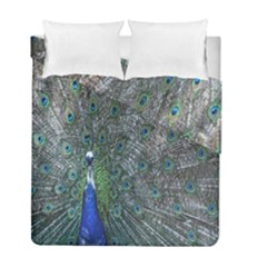 Peacock Four Spot Feather Bird Duvet Cover Double Side (full/ Double Size) by Nexatart