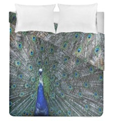 Peacock Four Spot Feather Bird Duvet Cover Double Side (queen Size) by Nexatart