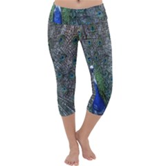 Peacock Four Spot Feather Bird Capri Yoga Leggings by Nexatart