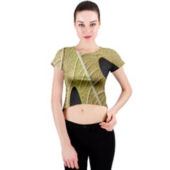 Yellow Leaf Fig Tree Texture Crew Neck Crop Top by Nexatart