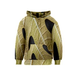 Yellow Leaf Fig Tree Texture Kids  Zipper Hoodie by Nexatart