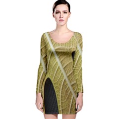 Yellow Leaf Fig Tree Texture Long Sleeve Velvet Bodycon Dress by Nexatart