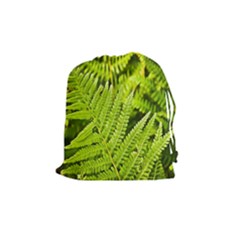 Fern Nature Green Plant Drawstring Pouches (medium)  by Nexatart