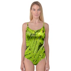 Fern Nature Green Plant Camisole Leotard  by Nexatart