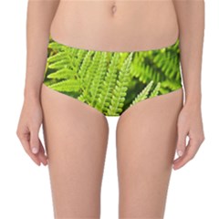 Fern Nature Green Plant Mid-waist Bikini Bottoms by Nexatart