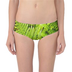 Fern Nature Green Plant Classic Bikini Bottoms by Nexatart