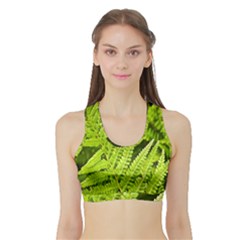 Fern Nature Green Plant Sports Bra With Border by Nexatart