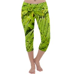 Fern Nature Green Plant Capri Yoga Leggings by Nexatart