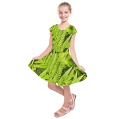 Fern Nature Green Plant Kids  Short Sleeve Dress by Nexatart