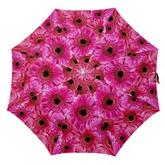 Gerbera Flower Nature Pink Blosso Straight Umbrellas