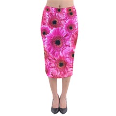 Gerbera Flower Nature Pink Blosso Velvet Midi Pencil Skirt